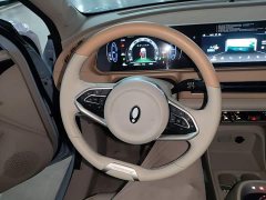 ORA Good Cat Morandi Edition 400km Standard Range Luxury Trim LFP - ფოტო 11