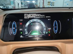 ORA Good Cat Morandi Edition 400km Standard Range Luxury Trim LFP - ფოტო 12