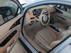 ORA Good Cat Morandi Edition 400km Standard Range Luxury Trim LFP - ფოტო 16