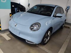 ORA Good Cat Morandi Edition 400km Standard Range Luxury Trim LFP - ფოტო 2