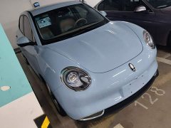 ORA Good Cat Morandi Edition 400km Standard Range Luxury Trim LFP - ფოტო 4