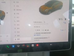 Tesla Model 3 Standard Range RWD Upgrade - ფოტო 12