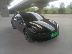 Tesla Model 3 Standard Range RWD Upgrade - ფოტო 4
