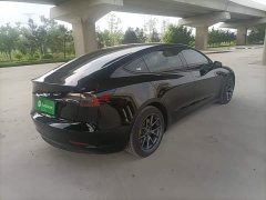 Tesla Model 3 Standard Range RWD Upgrade - ფოტო 7