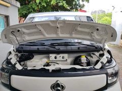 Changan Ruixing EM60 Passenger Comfort 6-Seater 300km Rear-Hinged Door - ფოტო 20