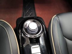 Wuling Binguo 333km Joy Edition - ფოტო 14