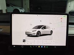 Tesla Model 3 Rear-Wheel Drive - ფოტო 13