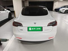 Tesla Model 3 Rear-Wheel Drive - ფოტო 6