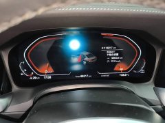 BMW 3 Series Facelift 320Li M Sport Package - ფოტო 12