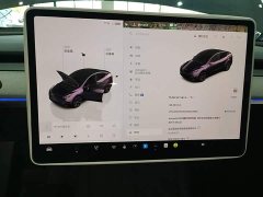 Tesla Model Y 2024 Rear-Wheel Drive - ფოტო 12