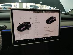 Tesla Model Y 2024 Rear-Wheel Drive - ფოტო 13