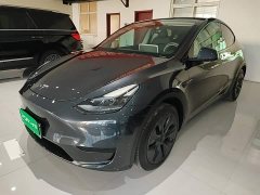 Tesla Model Y 2024 Rear-Wheel Drive - ფოტო 2