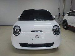 Changan Lumin 205km Pure Fragrance Edition - ფოტო 3