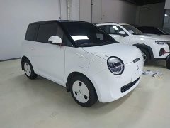 Changan Lumin 205km Pure Fragrance Edition - ფოტო 4