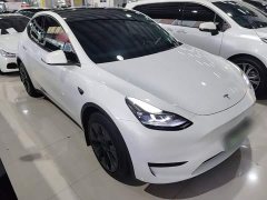 Tesla Model Y Rear-Wheel Drive - ფოტო 3