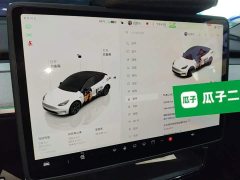 Tesla Model Y Rear-Wheel Drive - ფოტო 9