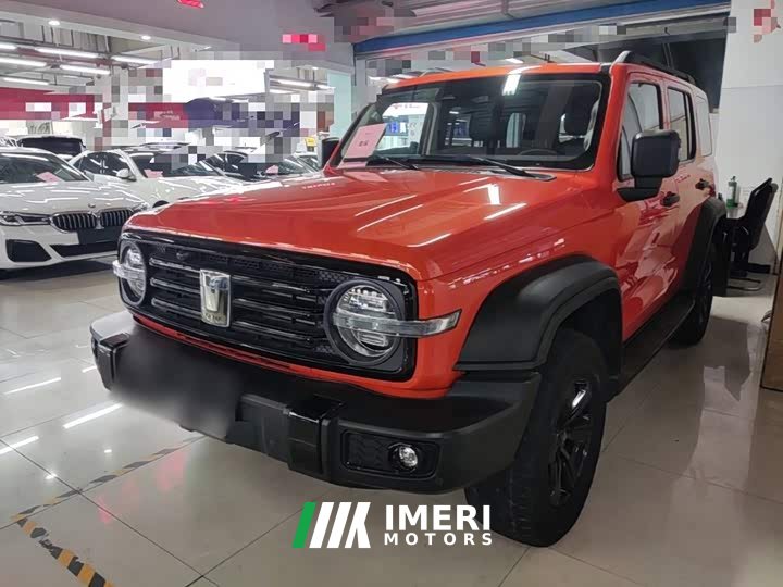 Tank 300 2021 Off-Road Edition 2.0T Conqueror - ავტომობილი ჩინეთიდან