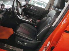 Tank 300 2021 Off-Road Edition 2.0T Conqueror - ფოტო 11