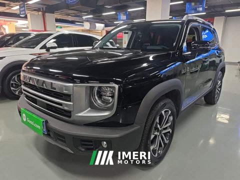 2025 Great Wall Dachshund 2024 1.5T DCT Border Collie Edition - ავტომობილი ჩინეთიდან