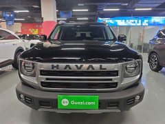 Great Wall Dachshund 2024 1.5T DCT Border Collie Edition - ფოტო 3