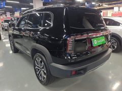 Great Wall Dachshund 2024 1.5T DCT Border Collie Edition - ფოტო 5
