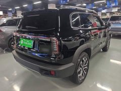 Great Wall Dachshund 2024 1.5T DCT Border Collie Edition - ფოტო 7
