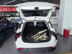 Neta V 2022 Tide 300 Lite LFP - ფოტო 19