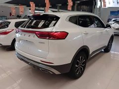 Haval H6 National Trend Edition 1.5T Automatic Urban Version - ფოტო 7