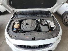 Geely Xingrui 2021 Facelift 2.0T Diesel Premium - ფოტო 20