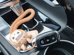 Hyundai Elantra 1.5L CVT Luxury - ფოტო 9
