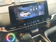 Toyota Gravia 2.5L Hybrid Luxury - ფოტო 13