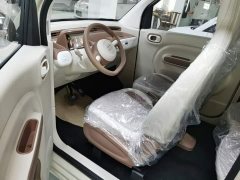 FAW Besturn Xiaoma 222km Colorful Edition - ფოტო 16