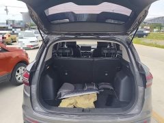 Geely Bingyue 1.5T DCT Platinum Edition - ფოტო 19