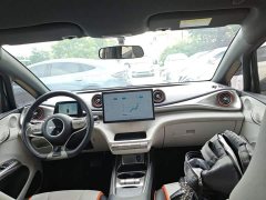 BYD Dolphin 405km Freedom Edition - ფოტო 10