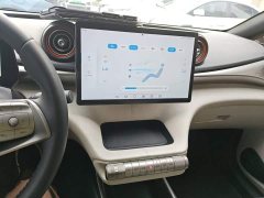 BYD Dolphin 405km Freedom Edition - ფოტო 13