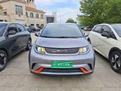 BYD Dolphin 405km Freedom Edition - ფოტო 3
