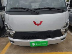 Wuling Longka 2023 2.0L Base - ფოტო 20