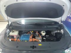 Maxus Dajia 7 527km Prairie Long-Range Edition - ფოტო 20