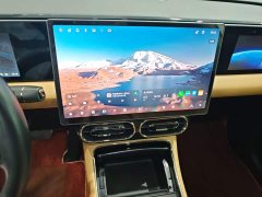 Leapmotor Leapo C11 Pure Electric 580 Premium Edition - ფოტო 13