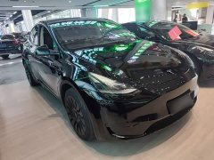 Tesla Model Y 2022 Facelift Rear-Wheel Drive - ფოტო 4