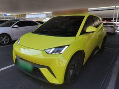 BYD Seagull Vitality Edition - ფოტო 1