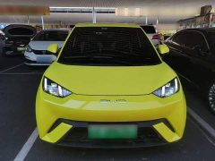 BYD Seagull Vitality Edition - ფოტო 3