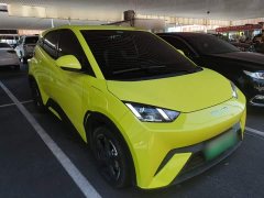 BYD Seagull Vitality Edition - ფოტო 4