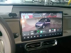Leapmotor B10 510 Pleasure Edition - ფოტო 12