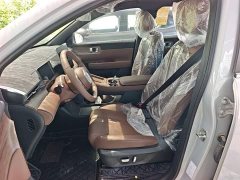 Wuling Xingguang S 2024 130km Pilot Edition - ფოტო 15