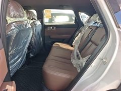 Wuling Xingguang S 2024 130km Pilot Edition - ფოტო 17