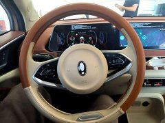 ORA Good Cat Morandi Edition 400km Standard Range Luxury Trim LFP - ფოტო 11