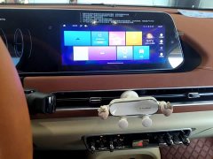ORA Good Cat Morandi Edition 400km Standard Range Luxury Trim LFP - ფოტო 13