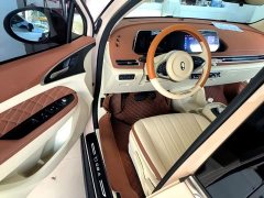 ORA Good Cat Morandi Edition 400km Standard Range Luxury Trim LFP - ფოტო 16