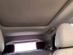 ORA Good Cat Morandi Edition 400km Standard Range Luxury Trim LFP - ფოტო 18